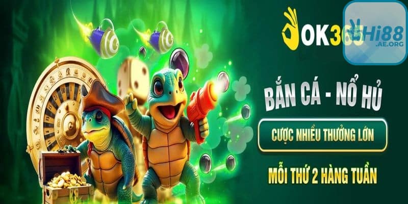 Các cầu hỏi thường gặp về chương trình OK365 tặng 365k