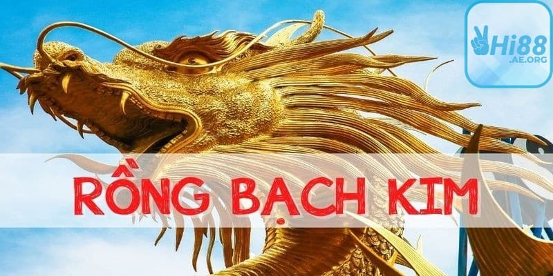 Rồng Bạch Kim 666 được ứng dụng trong phong thủy để tăng vận may