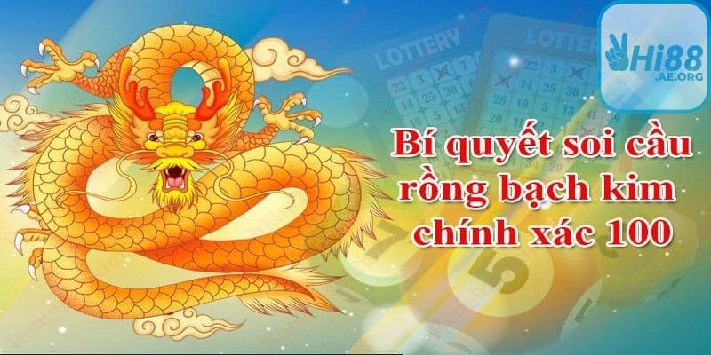 Có nhiều quan điểm khác nhau về Rồng Bạch Kim 666