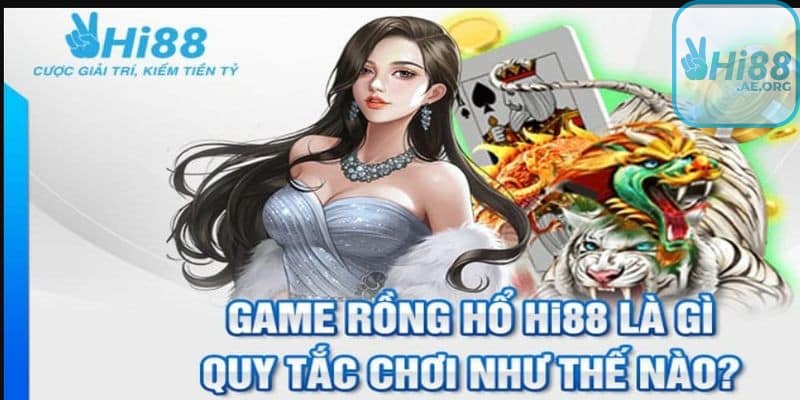 Hướng dẫn chơi cơ bản game Rồng hổ Hi88
