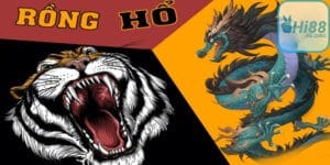 Những lưu ý quan trọng khi chơi Rồng hổ Hi88