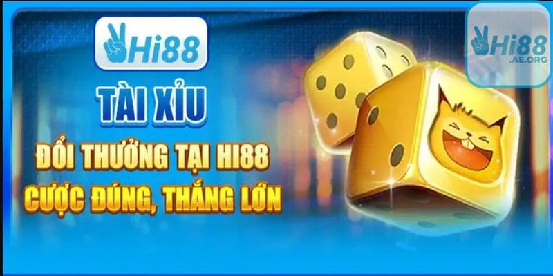 Những lưu ý quan trọng khi chơi Tài Xỉu Hi88