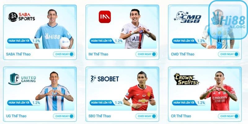 Hi88 cung cấp rất nhiều loại cược thể thao khác nhau,